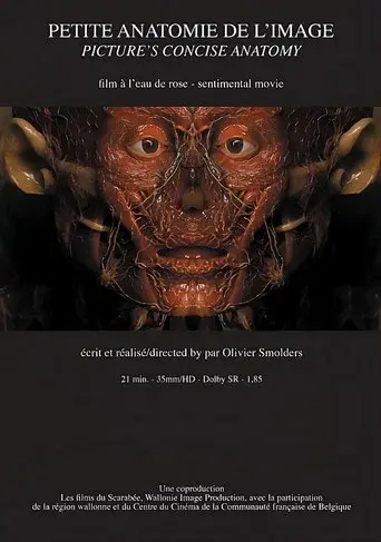 Petite anatomie de l'image