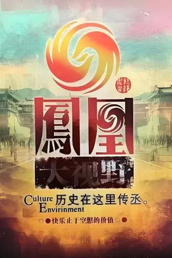 凤凰大视野