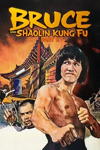 Bruce and Shaolin Kung Fu Part 2