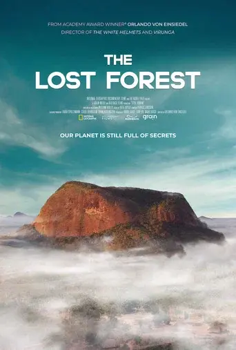 The Lost Forest