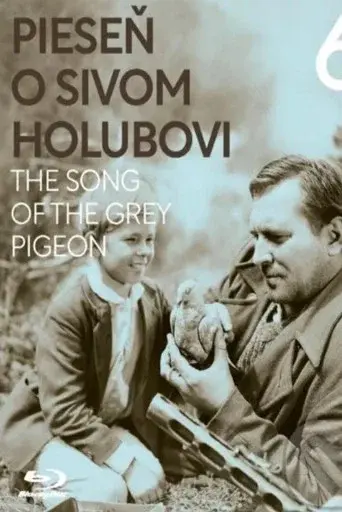 The Song of the Grey Pigeon