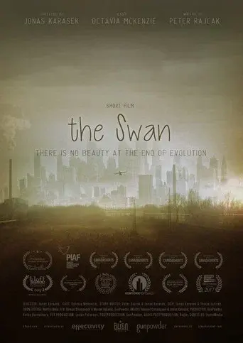 The Swan