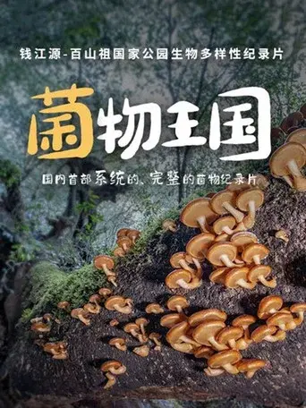 Fungi Kingdom