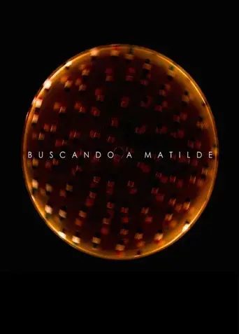 Looking for Matilde