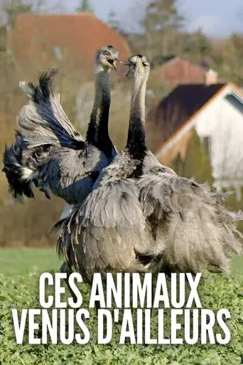 Ces animaux venus d'ailleurs