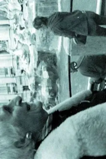 THE INTERPRETER OF BLACK AND WHITE FILMS