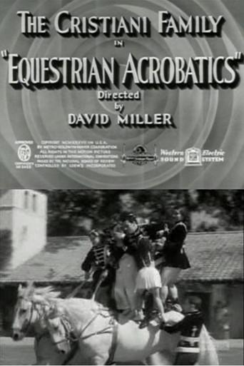 Equestrian Acrobats