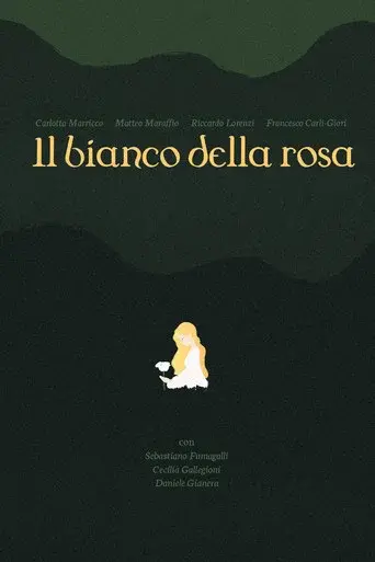 il bianco della rosa