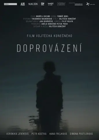 Doprovázení