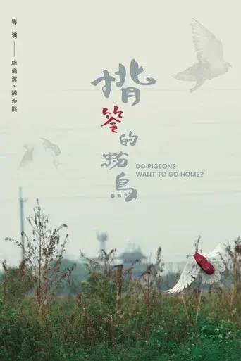 Do Pigeons Want to Go Home?