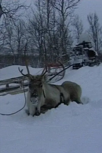 Niestebohcco njuovvan