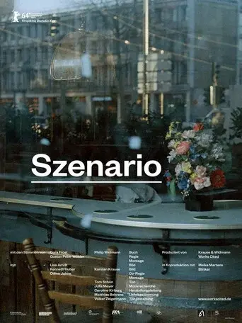 Scenario