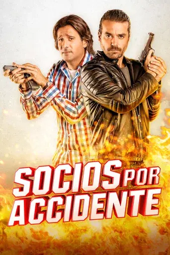 Partners By Accident