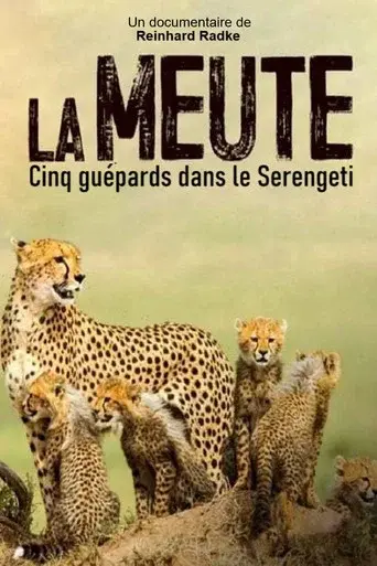 Die fรผnf Geparde - Gemeinsam durch die Serengeti