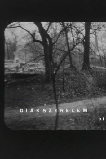 Diákszerelem