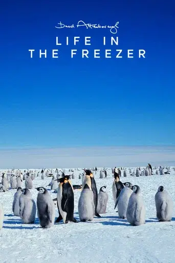 Life in the Freezer