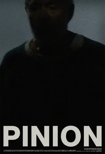 Pinion
