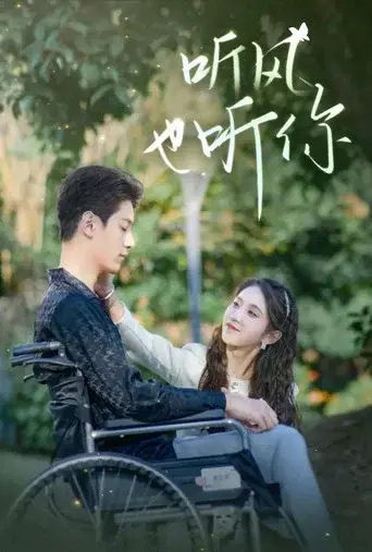 听风也听你