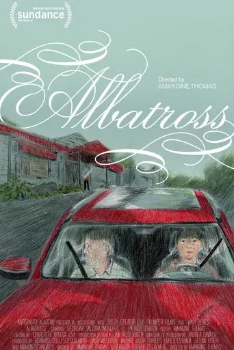 Albatross