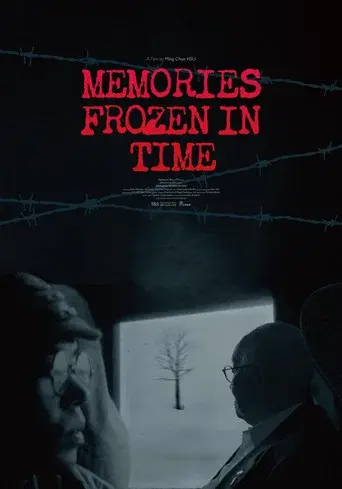 Memories Frozen in Time
