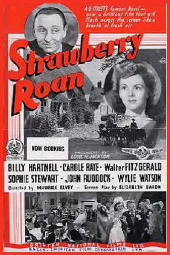 Strawberry Roan