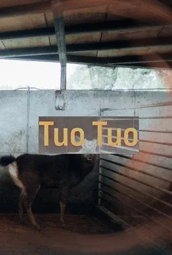 Tuo Tuo