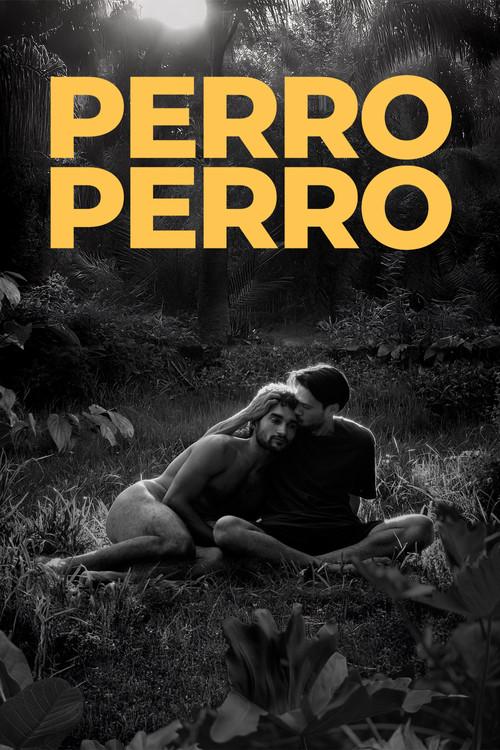 Perro perro