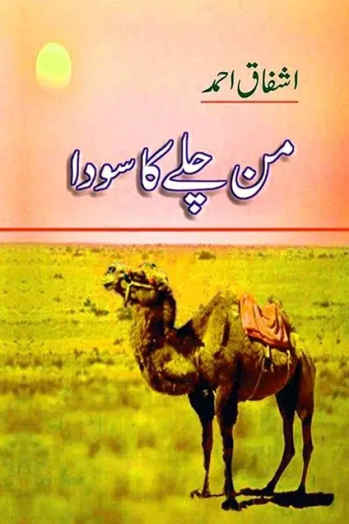 Mann Chalay Ka Sauda