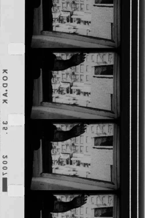 Frame